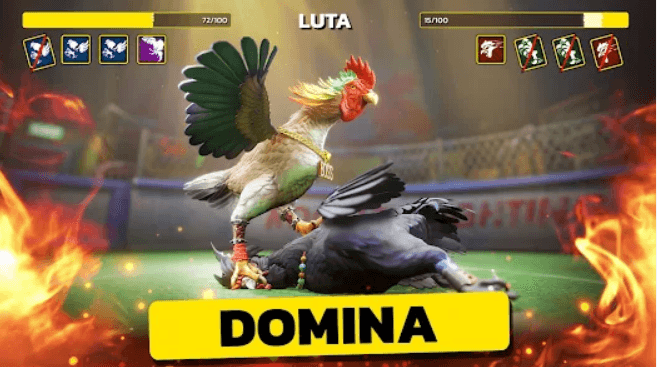3537 Brasil App Login