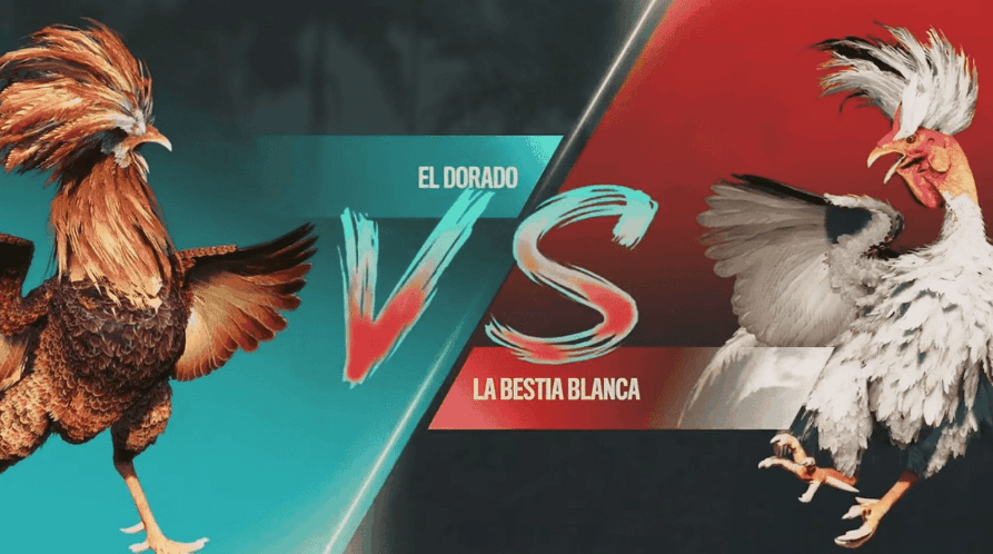 3537 Plataforma de Slots Online