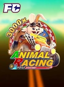 3537 Apostas Ao Vivo e Jogos de Cassino
